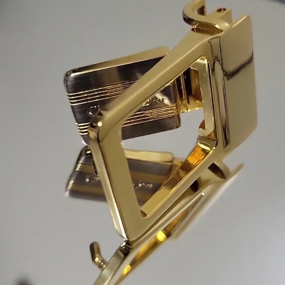 Beautiful LNWOT Christian Dior Belt Buckle!
